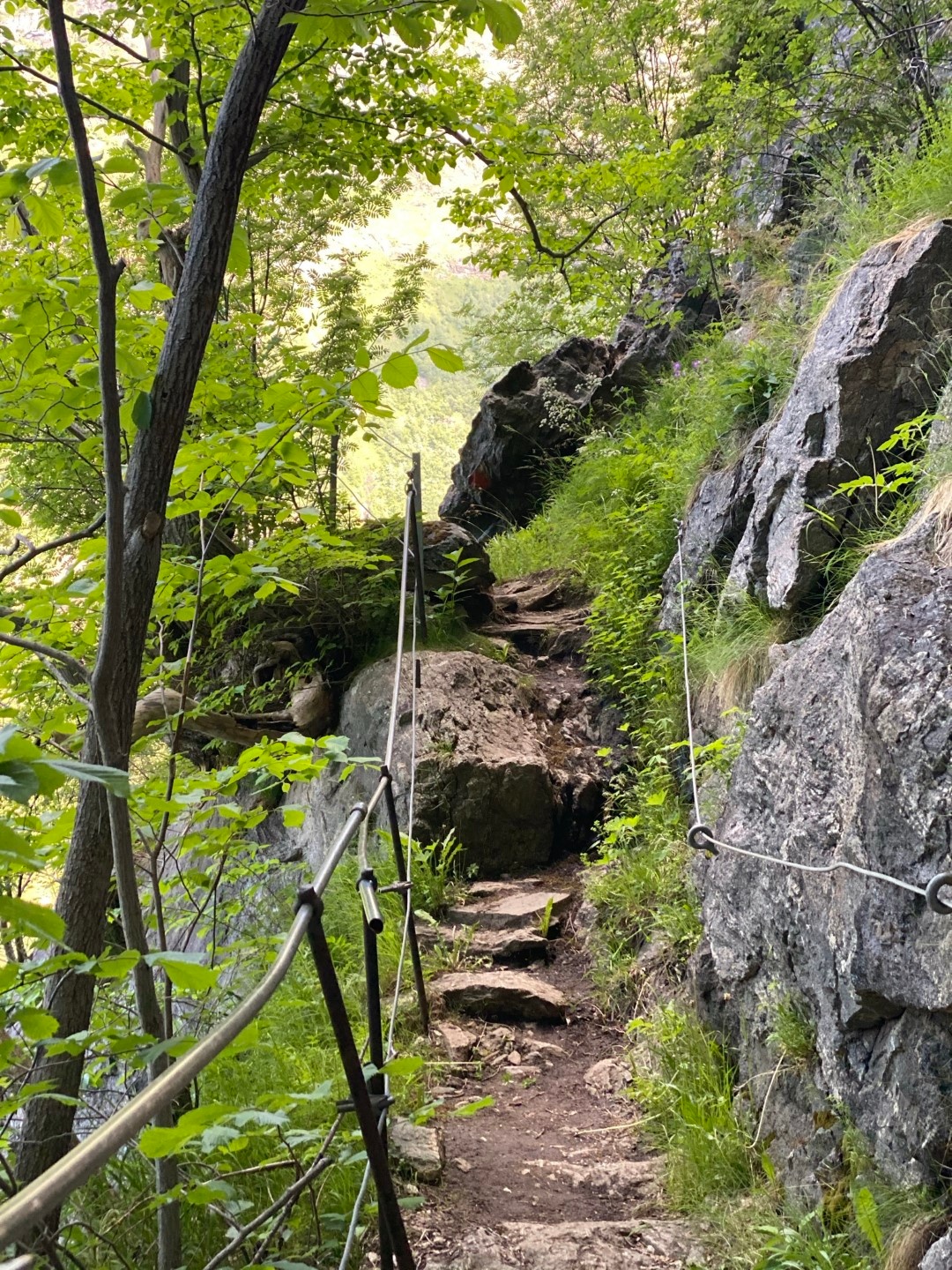 Narrow hiking trail with rocks and greenery on a hillside.