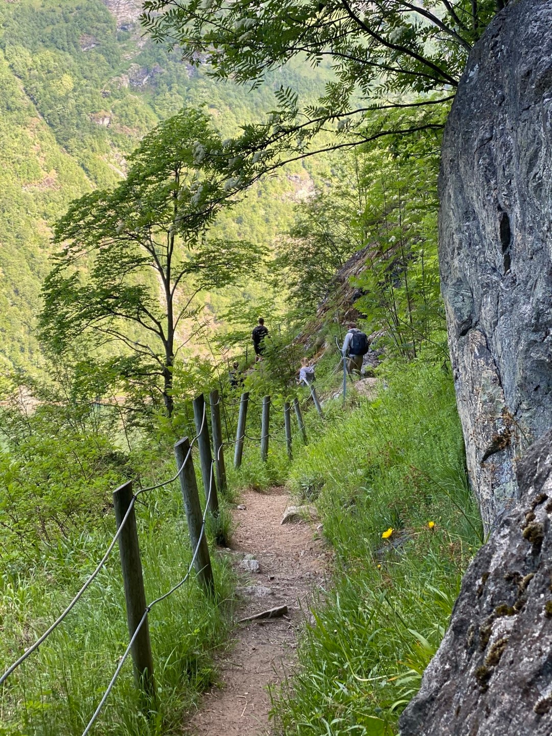 Hikers on a narrow trail through lush green forest and rocky terrain.