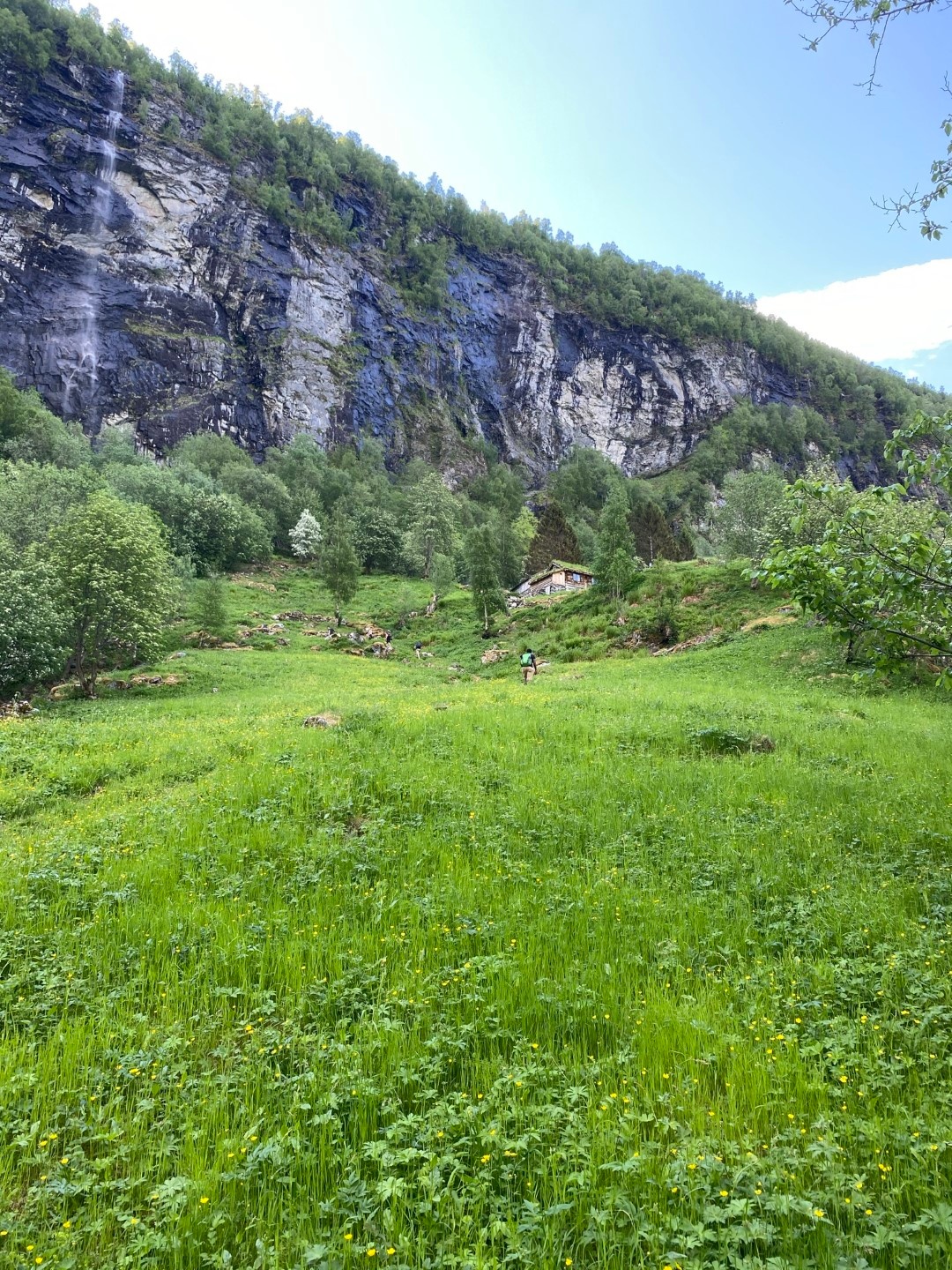 Lush green meadow with trees, steep rocky cliff, small house.