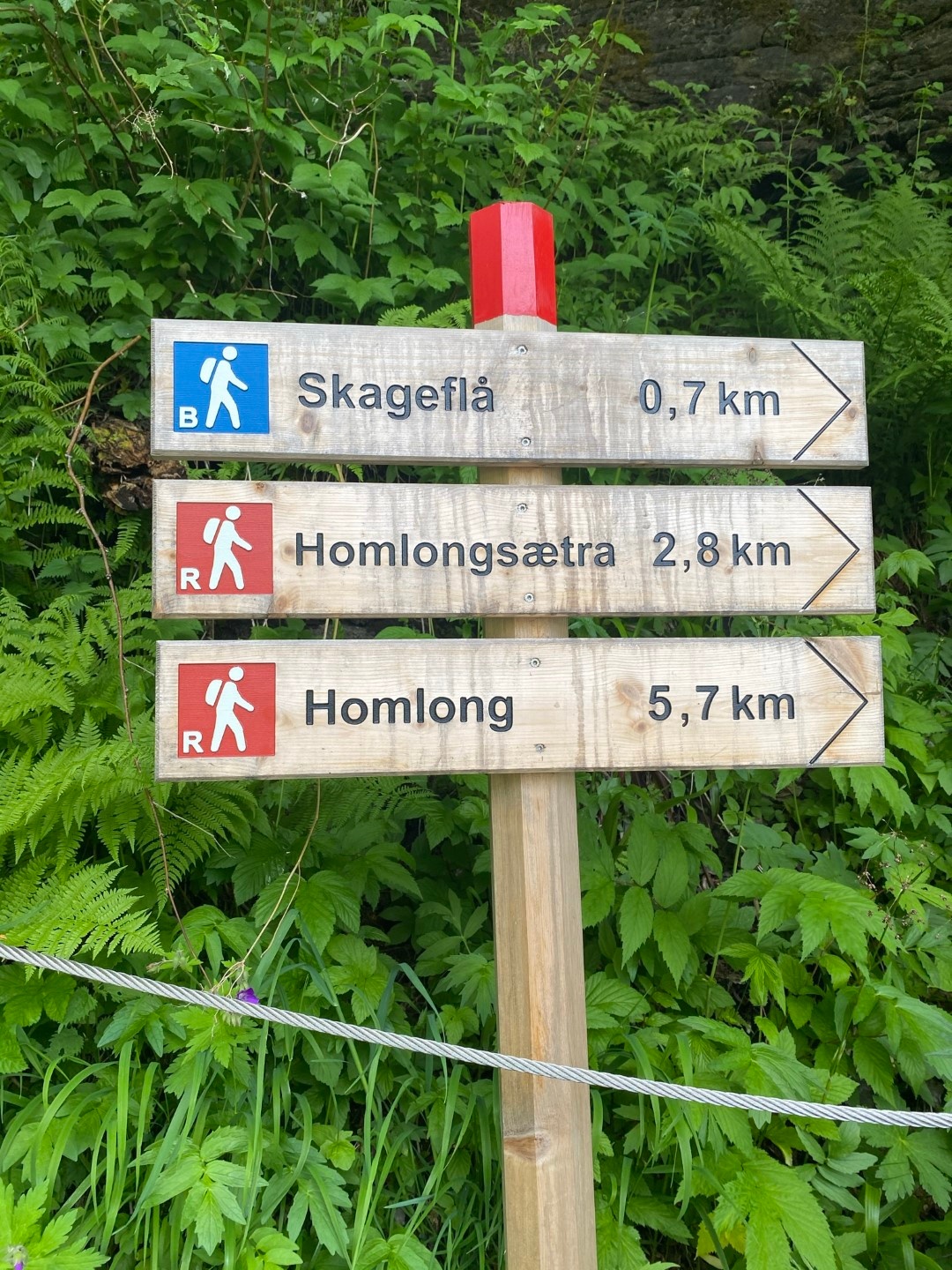 Wooden trail signs with distances in a forest setting.