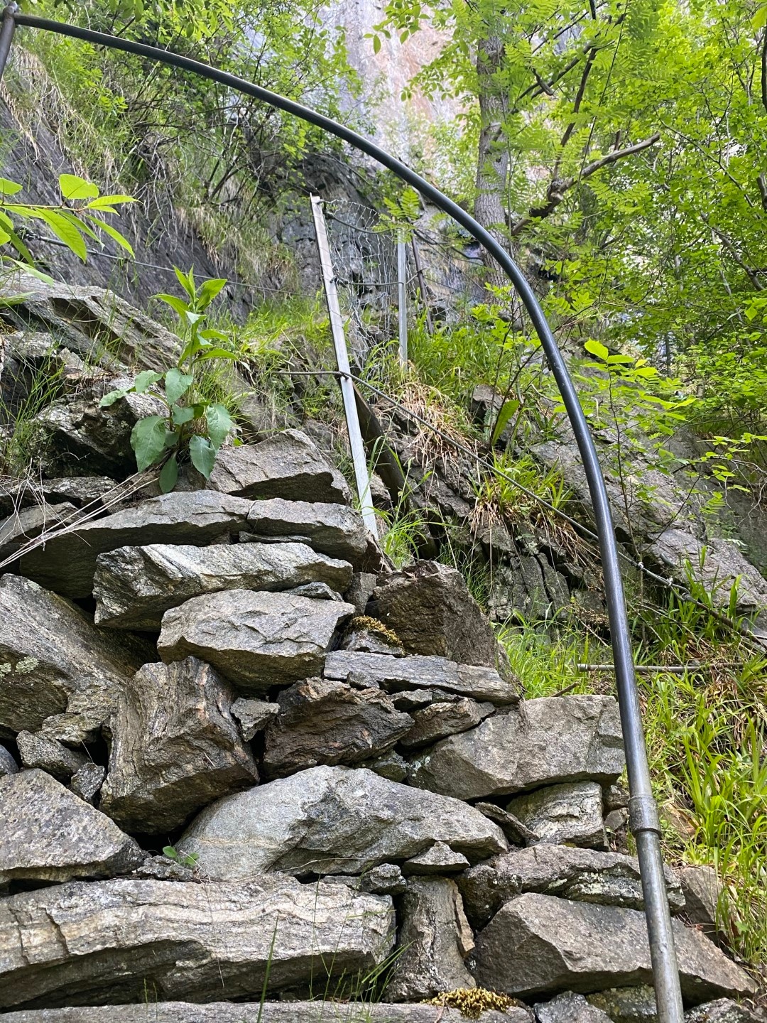Stone wall with bent metal pole and overgrown plants in a forested area.
