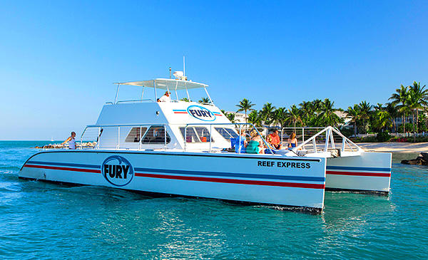 White catamaran 'Fury' on blue ocean with palm trees in background.