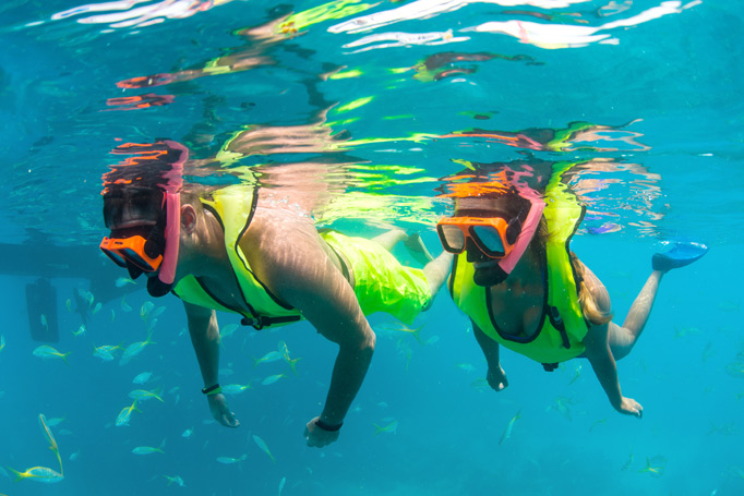 Two people snorkeling underwater with bright vests and gear.