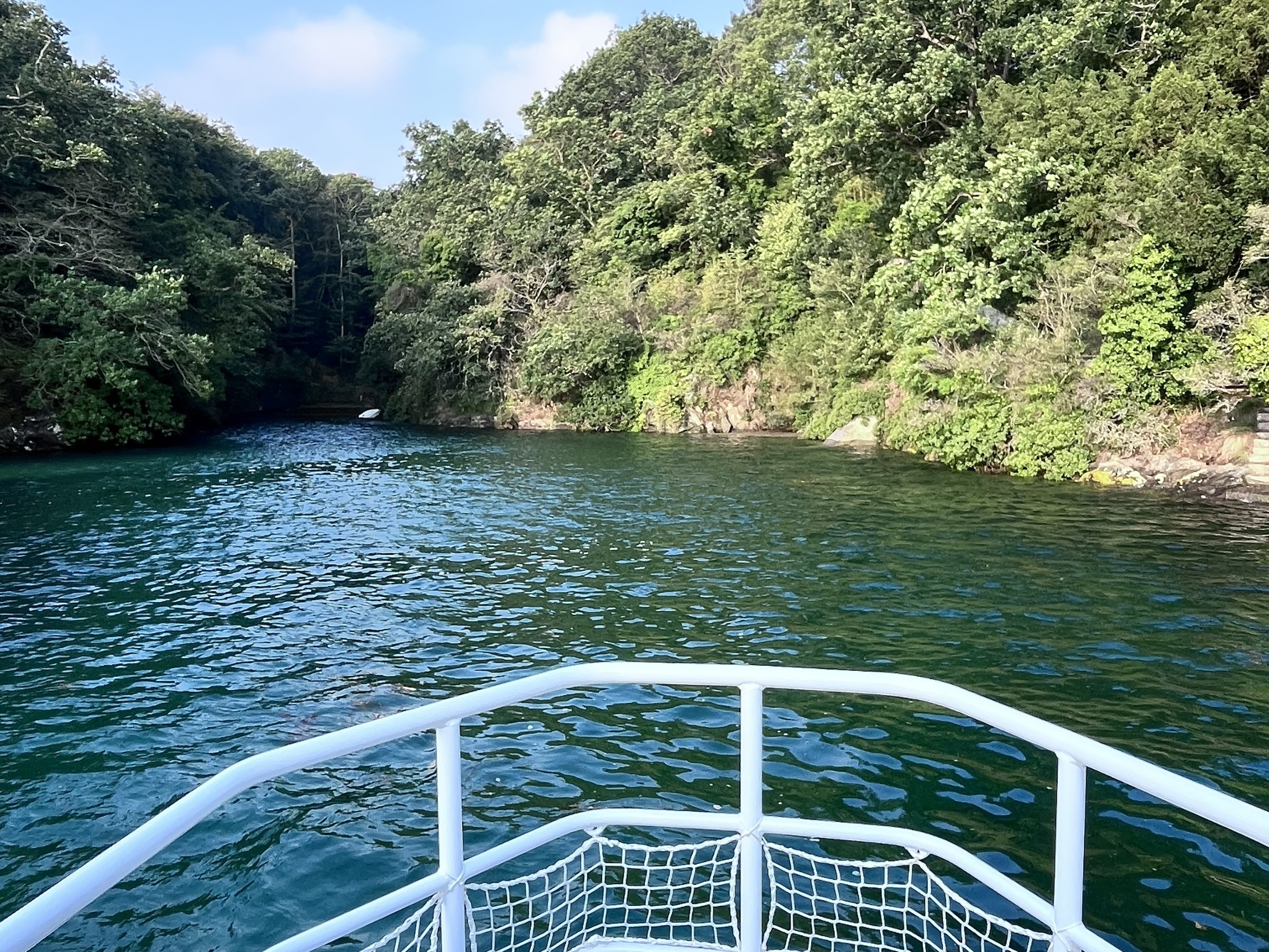 Boat navigating toward lush green forested riverbank.