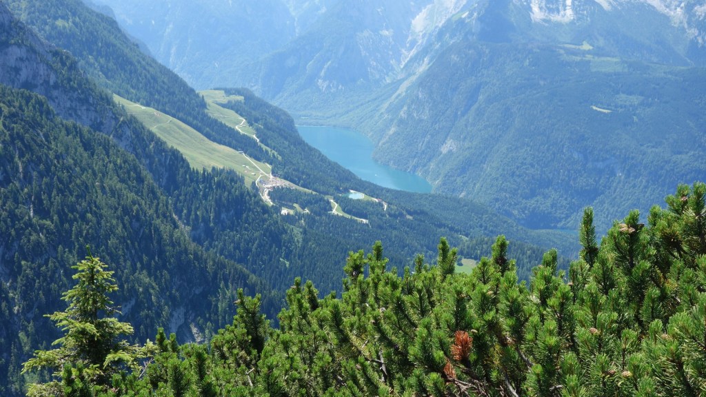 Mountain valley with winding road, pine trees, and a lake.