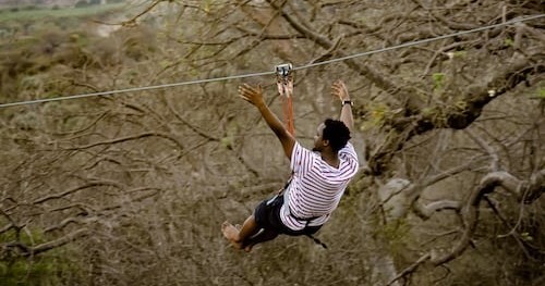 Person ziplining through a forested area on a clear day.