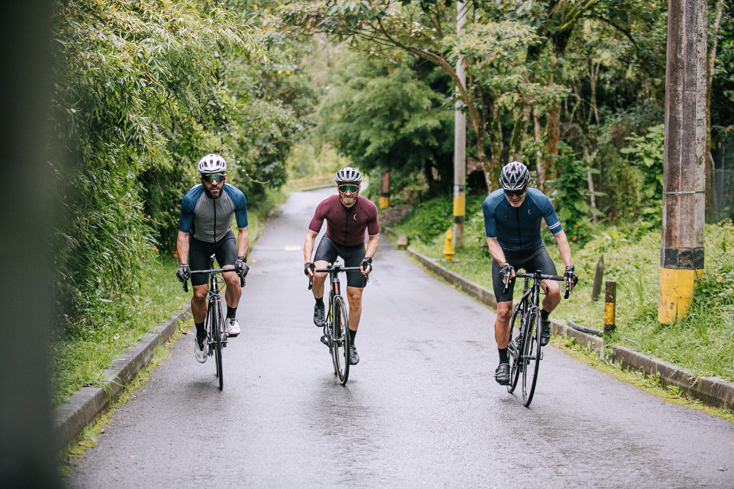 Three cyclists in gear riding on a road in a forested area.