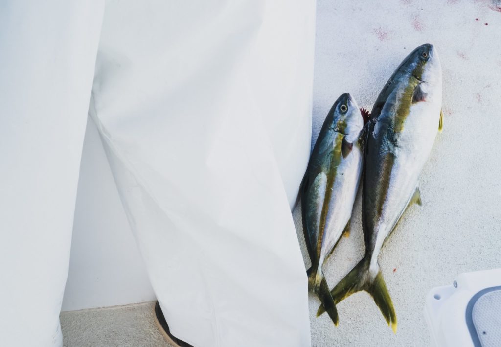 Two fish on a boat deck next to a person in white pants.