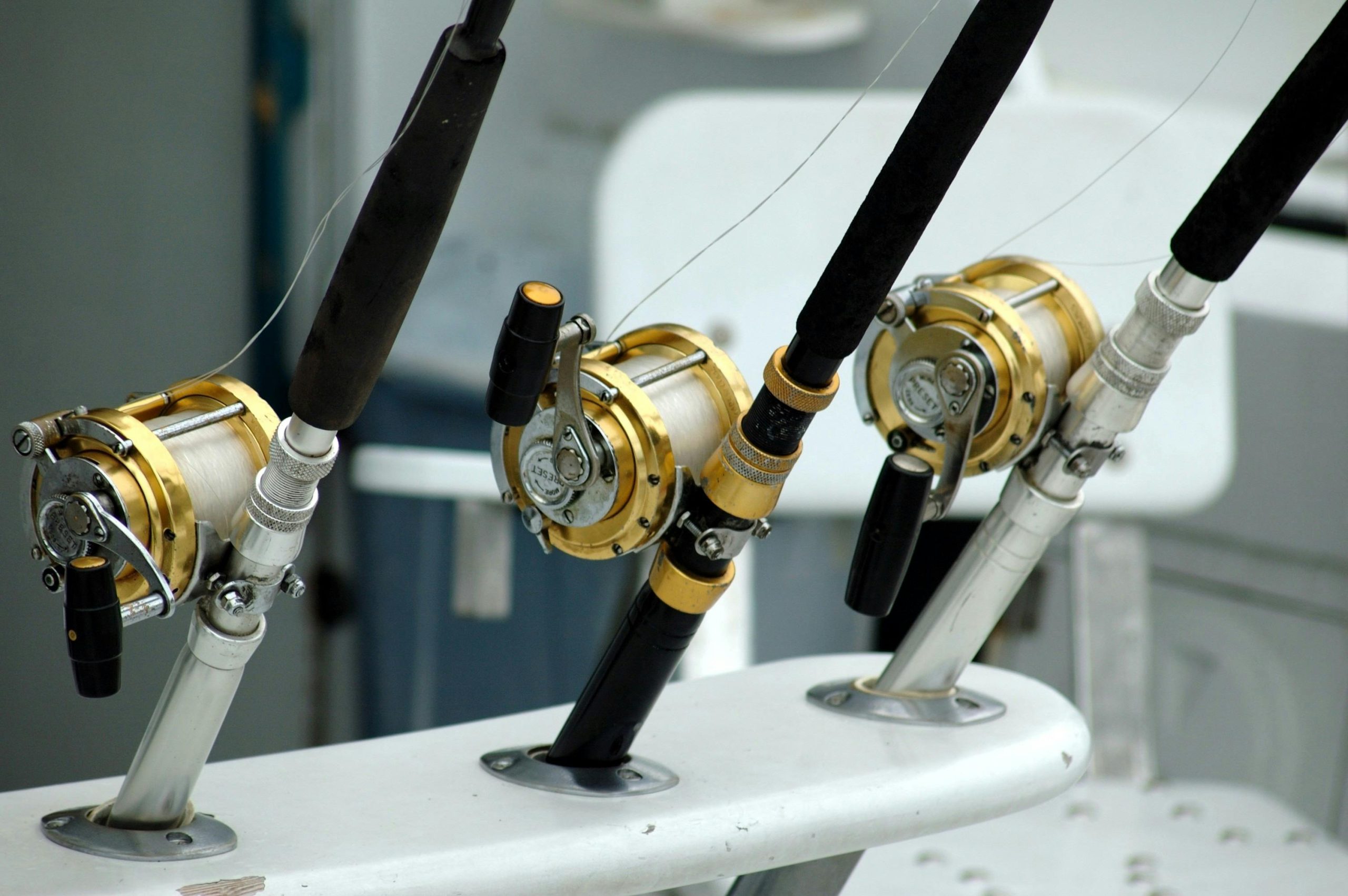 Three fishing rods with gold reels secured on a boat.