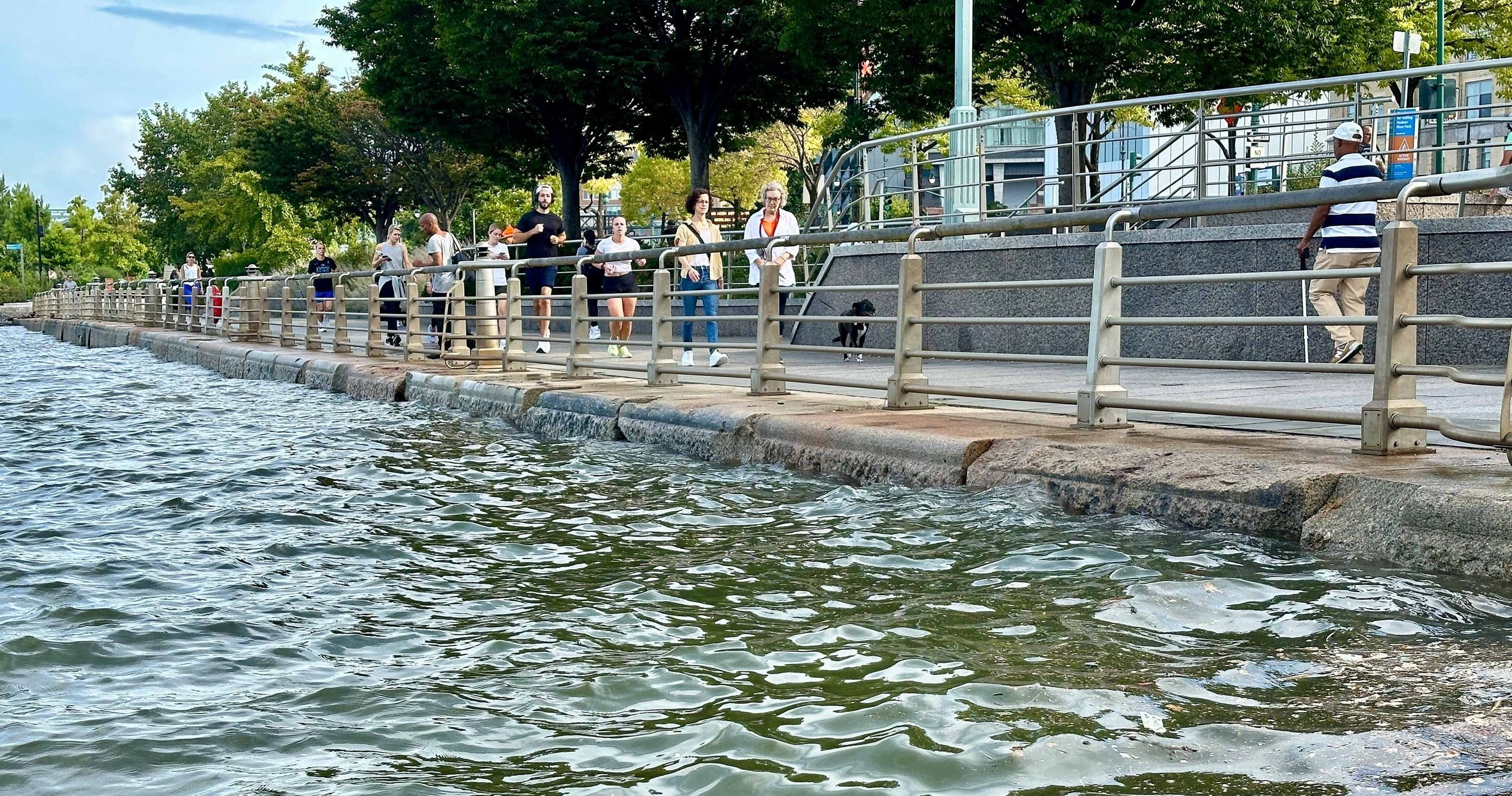 People walking along a riverside promenade with railings and trees.