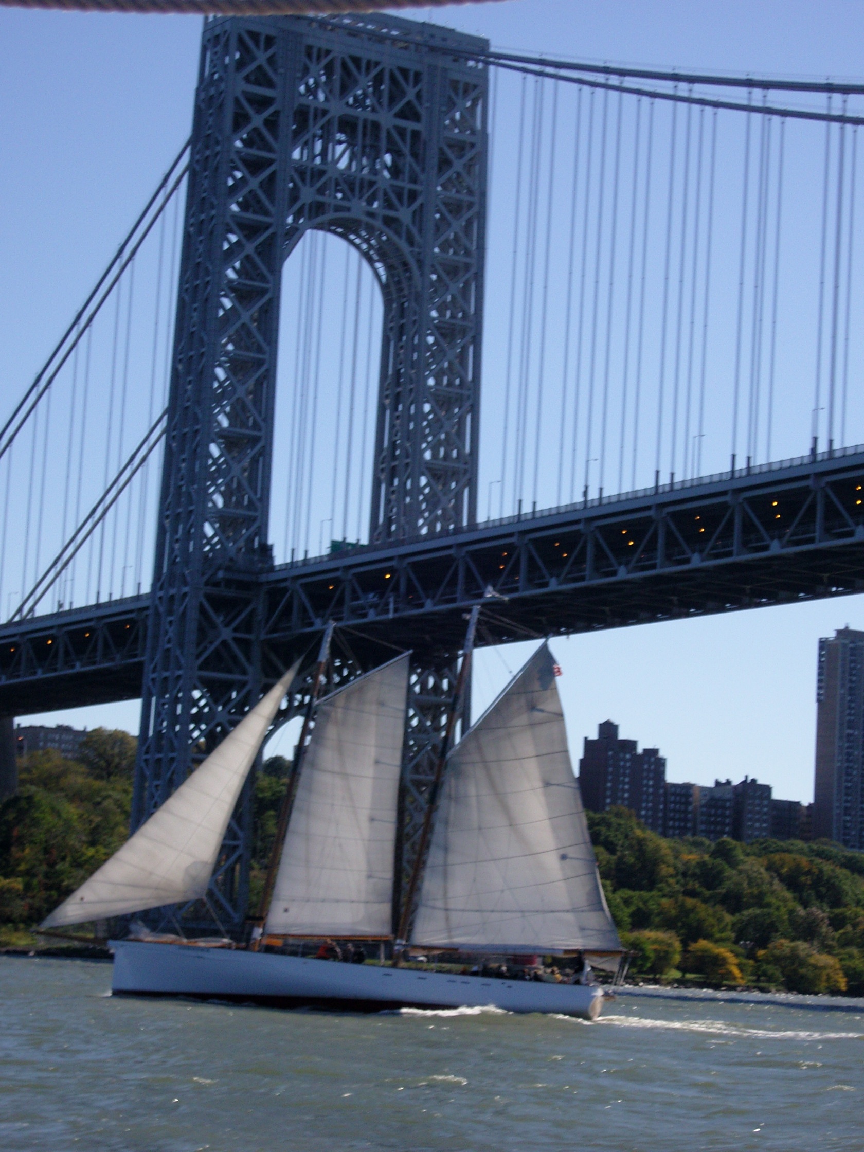 Sailboat with three sails passing under a large suspension bridge on a sunny day.
