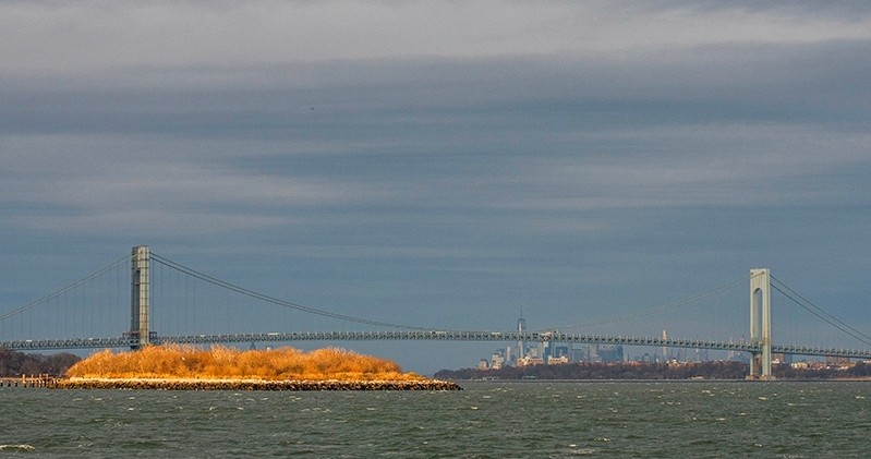 Suspension bridge over water with cloudy sky and city skyline in distance.