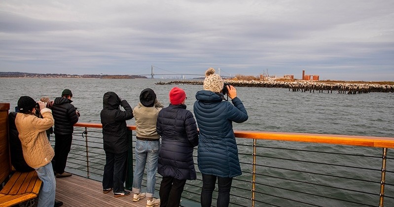 Group of people on a boat photographing birds by the water.