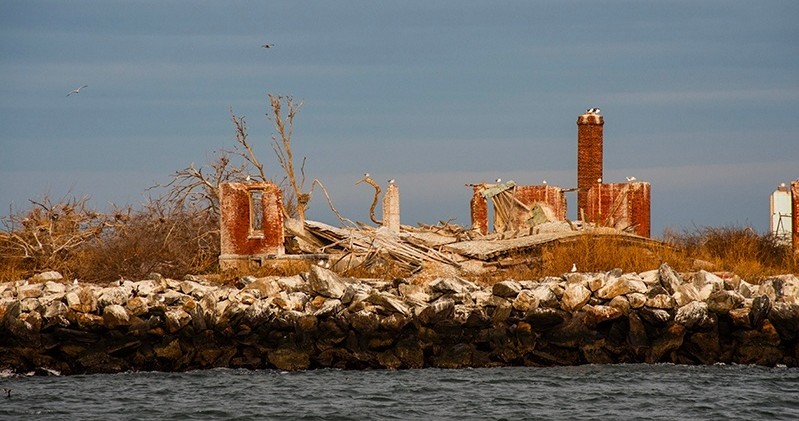 Ruins of a brick building by the sea with birds on rocks.