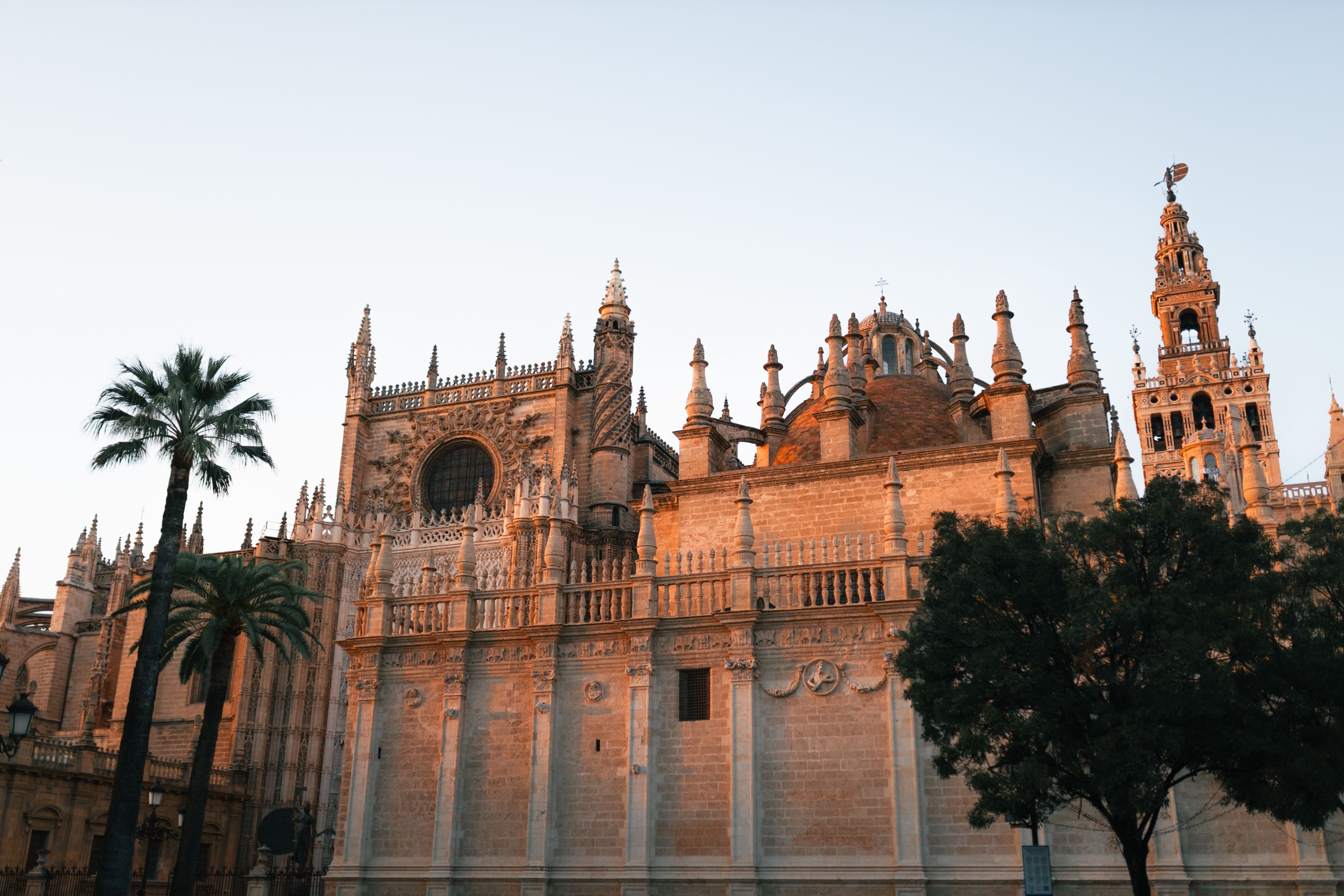 A historic cathedral with ornate spires, framed by trees and a clear sky.
