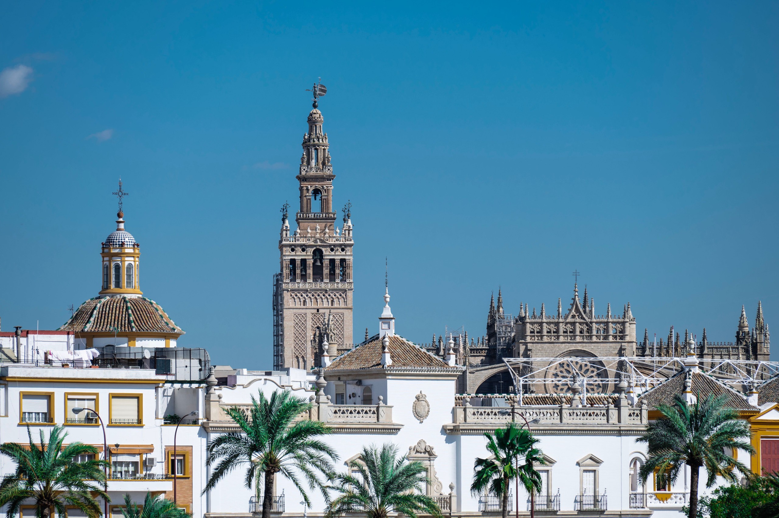 Seville skyline with Giralda tower and palm trees under a clear blue sky.