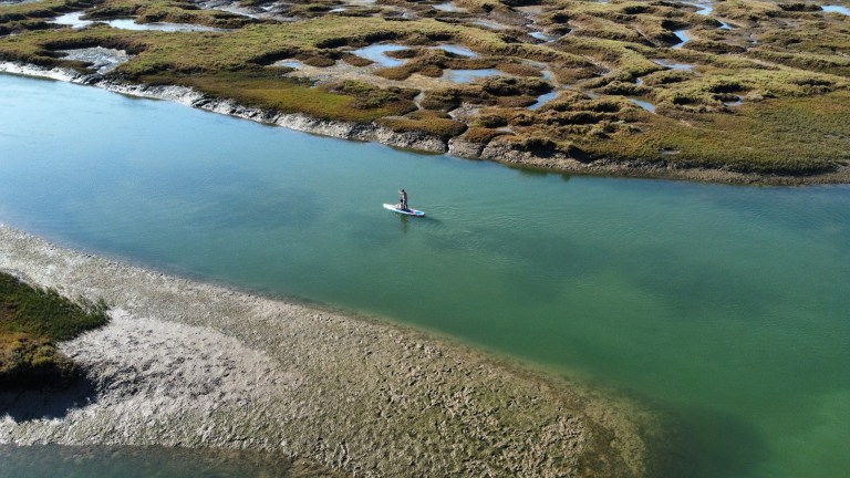 Person paddleboarding on a calm river surrounded by marshland.