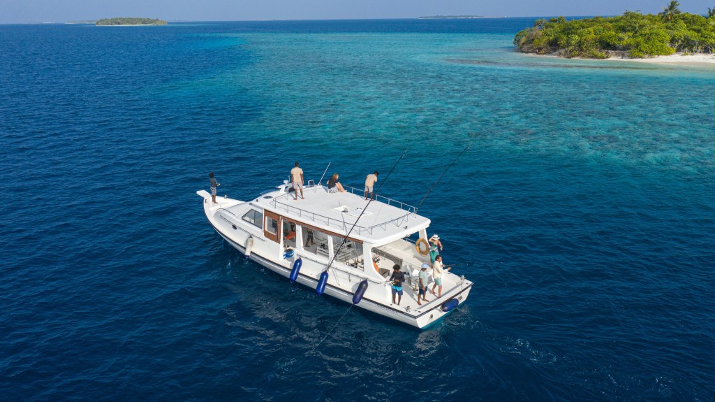Boat with people on clear blue sea near island with green foliage.