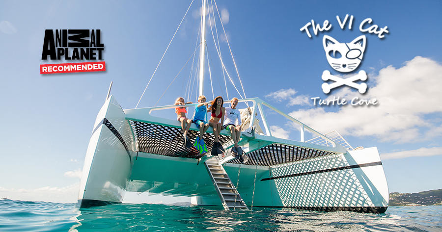 Group of people sitting on the edge of a catamaran sailboat in sunny weather.