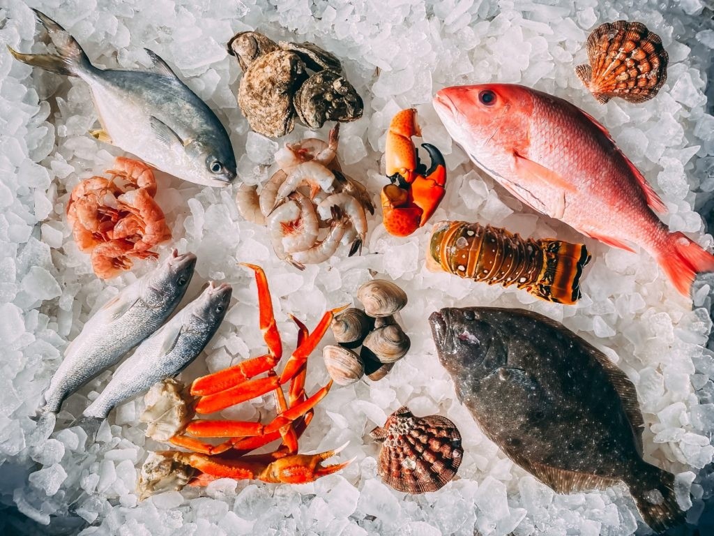 Assortment of fresh seafood on ice, including fish, shrimp, crab claws, and shellfish.
