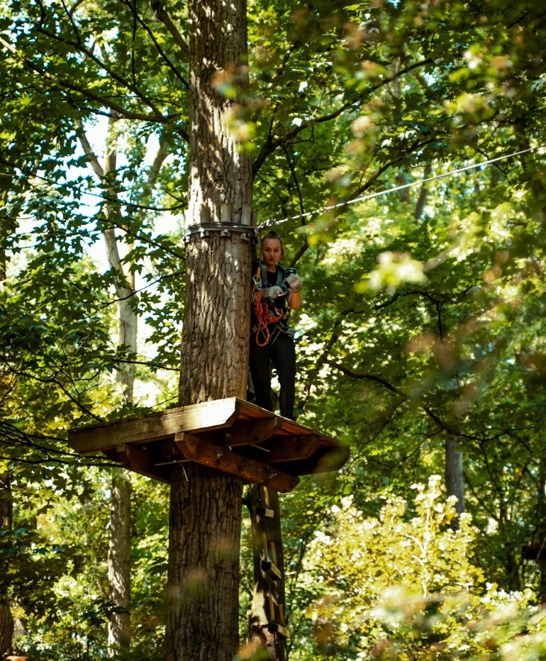 Person on a tree platform with harness and ropes in a forest.
