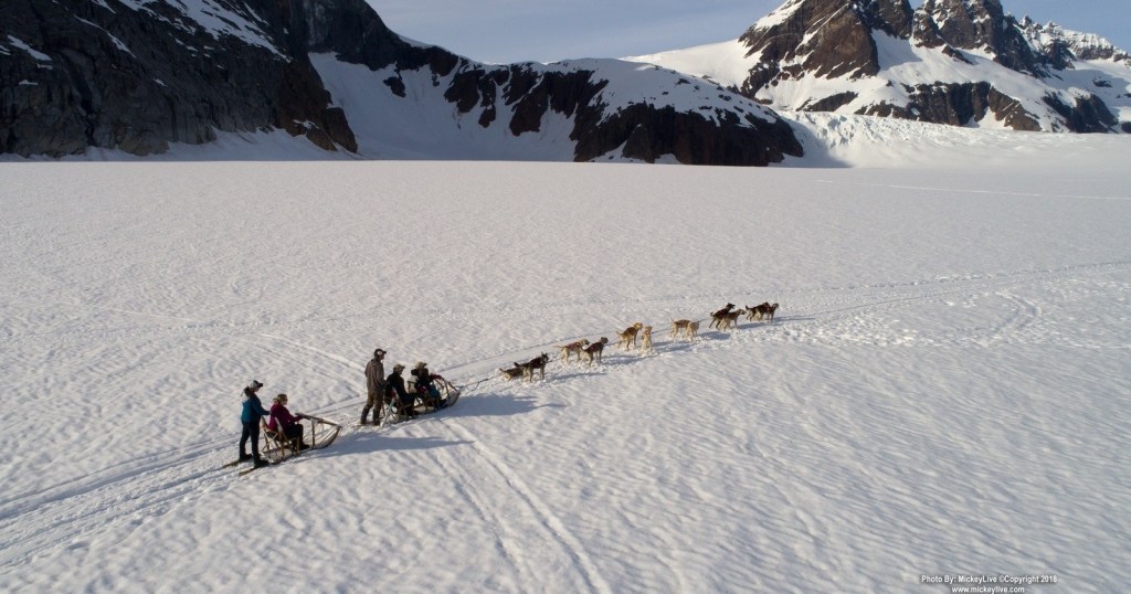 People riding dog sleds on snow with mountains in the background.